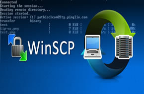 Doctor Micro PC-FTP WINSCP Free